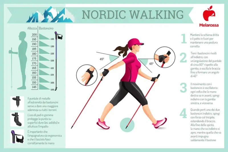 Guida illustrata su cos'è il nordic walking: postura corretta, uso dei bastoncini e movimento oscillatorio.